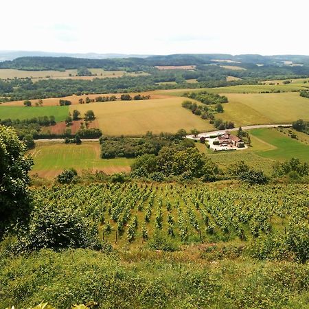 Gite Le Delice Villa Tannay  Екстериор снимка