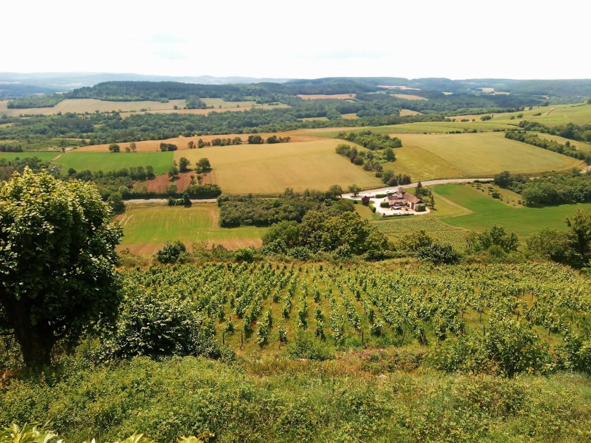 Gite Le Delice Villa Tannay  Екстериор снимка